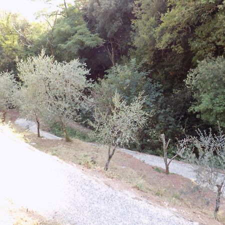 Fattoria Ceragioli Vila Camaiore Exterior foto