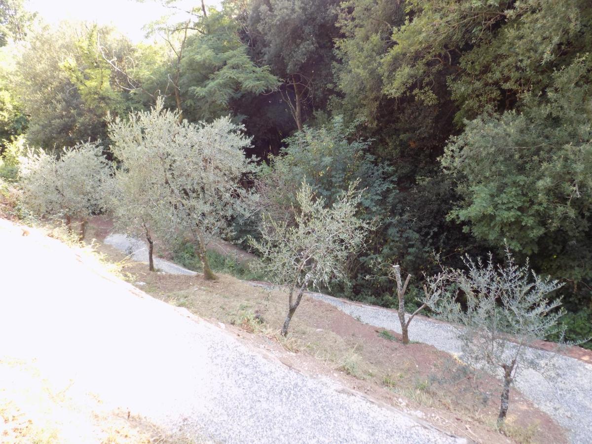 Fattoria Ceragioli Vila Camaiore Exterior foto