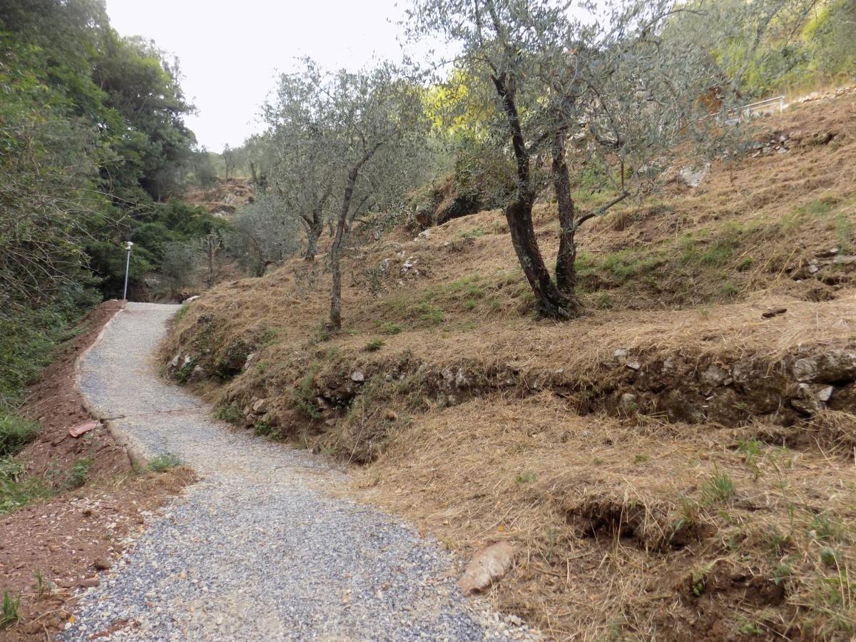 Fattoria Ceragioli Vila Camaiore Exterior foto