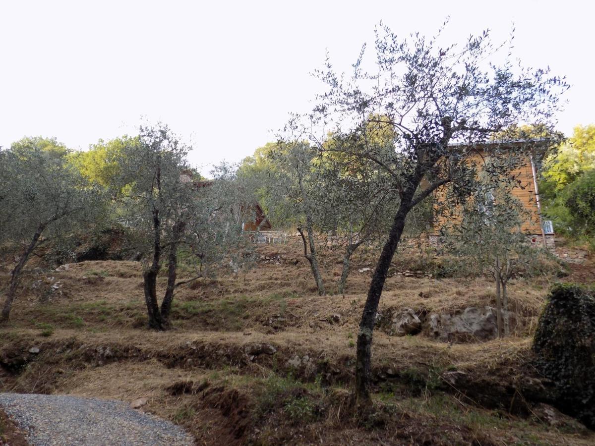 Fattoria Ceragioli Vila Camaiore Exterior foto
