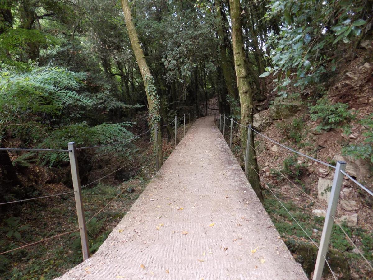Fattoria Ceragioli Vila Camaiore Exterior foto