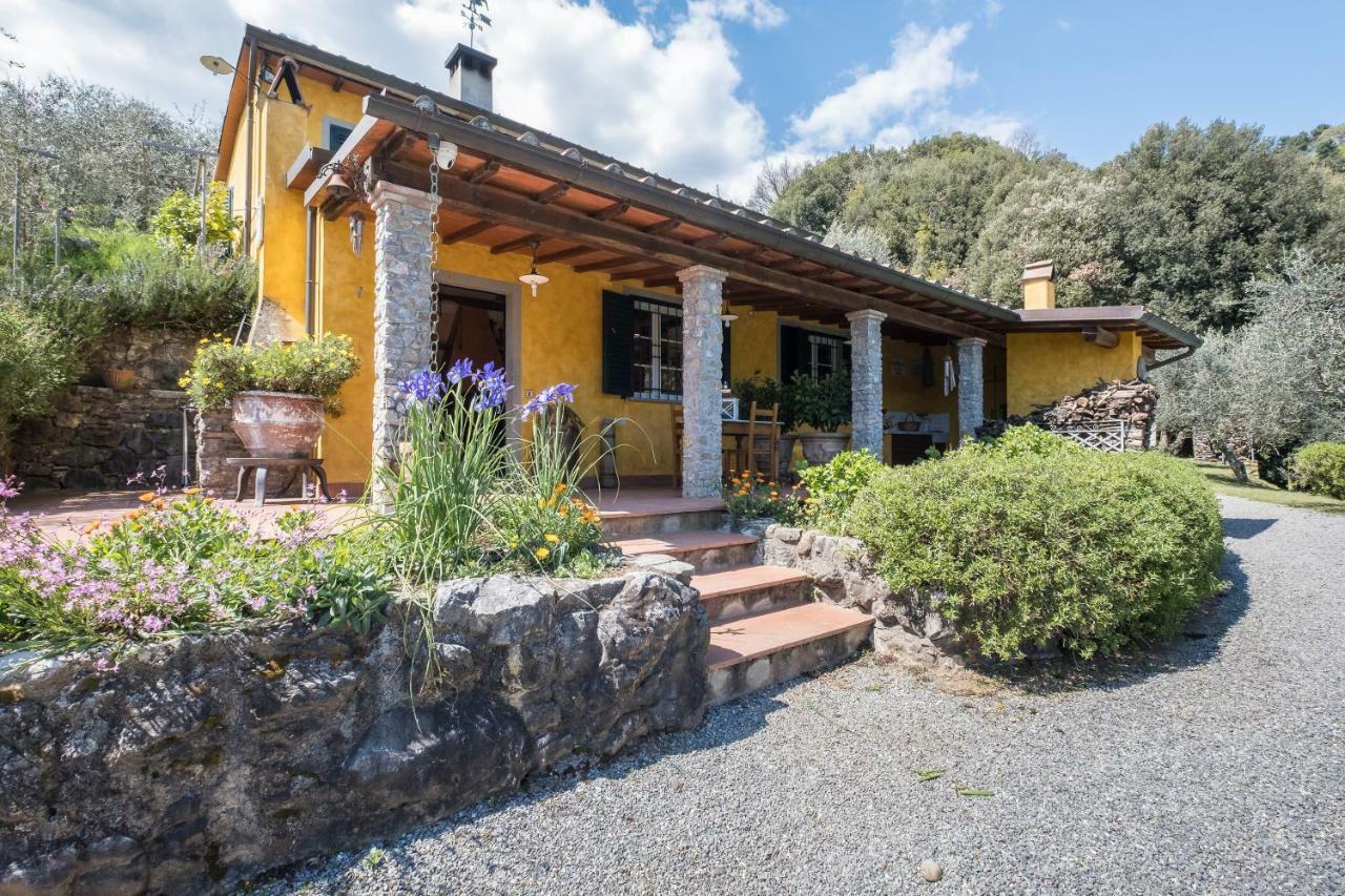 Fattoria Ceragioli Vila Camaiore Exterior foto